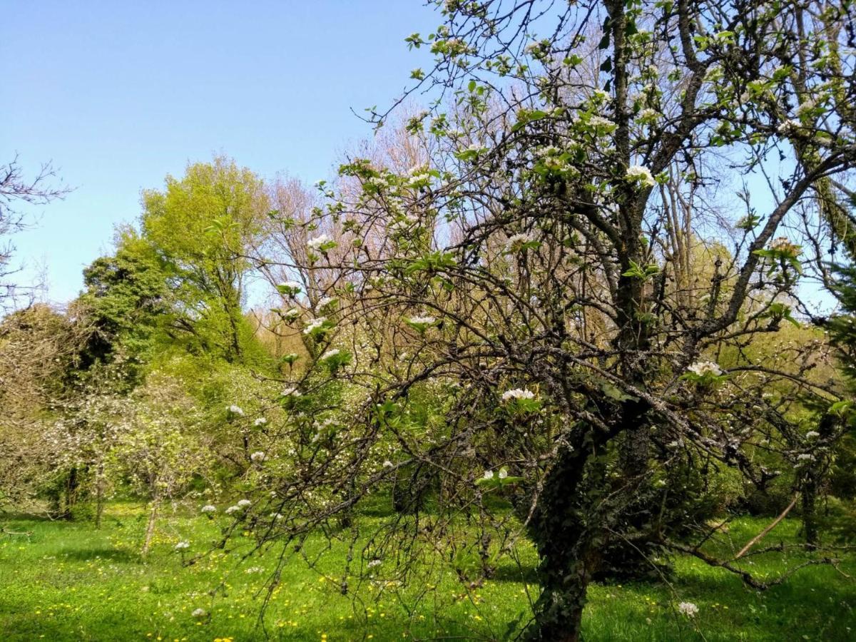 D'albertine Holiday home