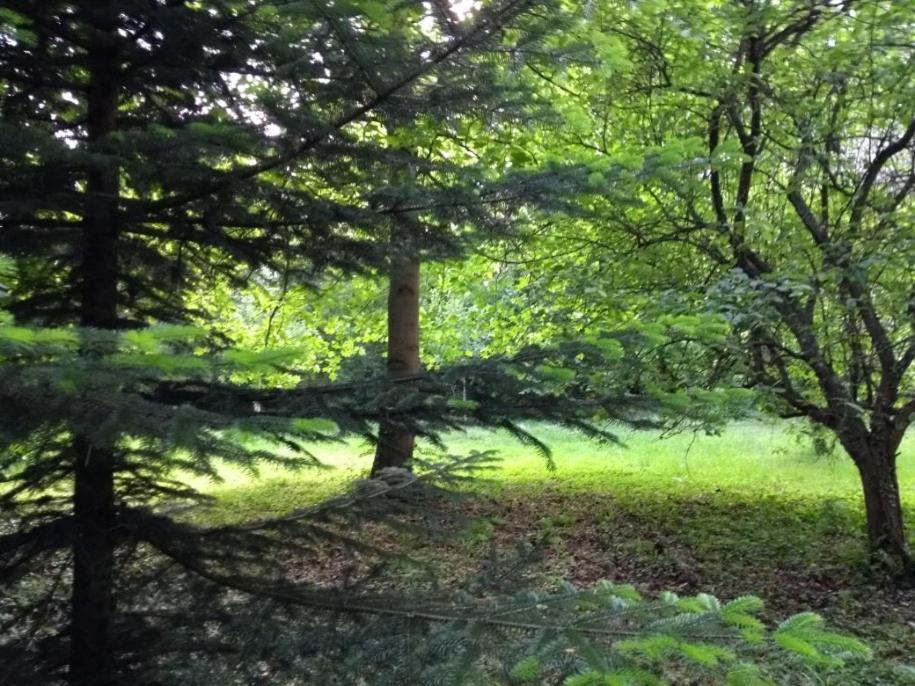 D'albertine Ully-Saint-Georges
